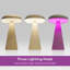 Lampe de table d'extérieur à piles et à énergie solaire Mushroom-107624896
