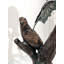 Bronze Parrot Mailbox Sculpture