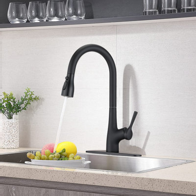 Robinet de cuisine noir mat à poignée simple | Idée de cadeau