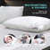 Eile Firm Cooling Pillow