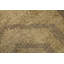 Tapis oriental délavé de style marocain 5 x 8