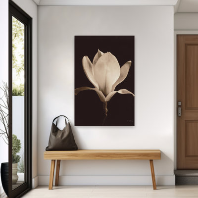 Magnolia moderne et contemporain