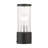 Kyshon Transparent Lantern Head