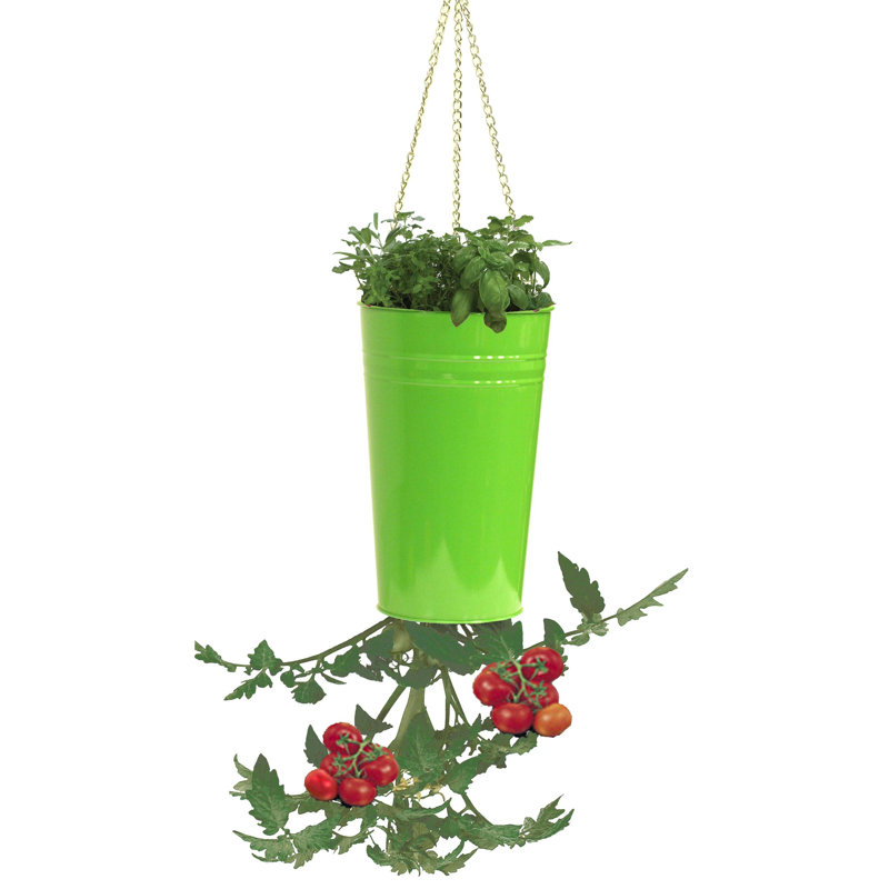 Pot de fleurs en acier galvanisé Kile, Vert pomme