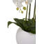 115cm Faux Plant in Cement Pot