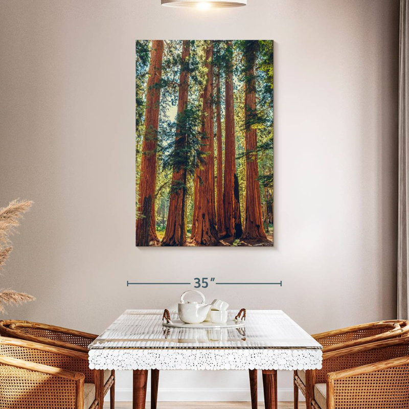 Séquoias Harnek dans le parc Sequoia, H 48 po x l 32 po