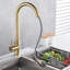 Fairmont Park Nerbone Pull Out Kitchen Faucet