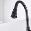 Pull Down Single Handle Kitchen Faucet with Deck Plate-100865070