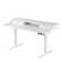 Adjustabl Metal Base Standing Desk with Drawers