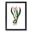 Autumn Crocus Flowers Illustration - Framed Print-55456878-55456879