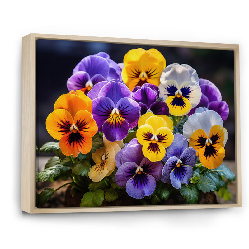 «Purple Pansies Vibrant Pansies», reproduction d'art sur toile encadrée, H 16 po x l 32 po x P 1 po, Cadre flottant érable