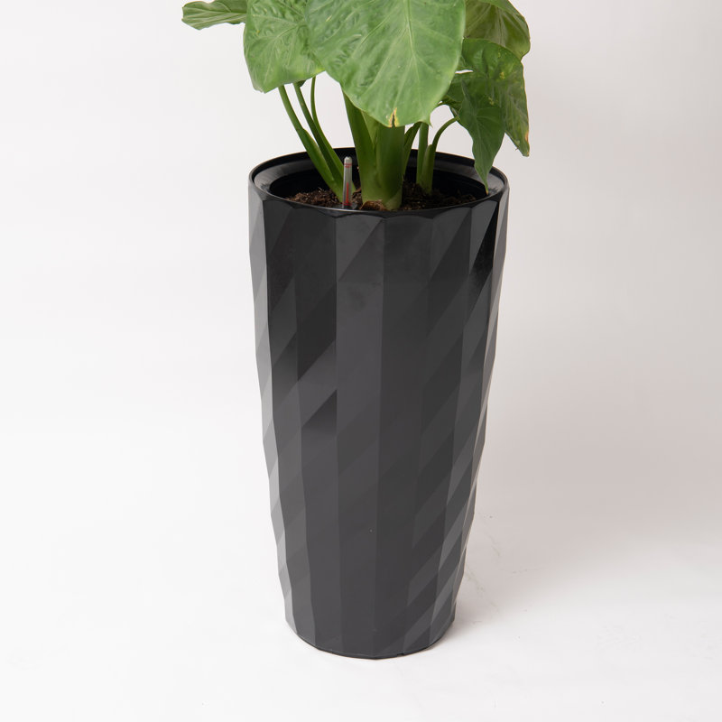 Self-Watering Pot Planter