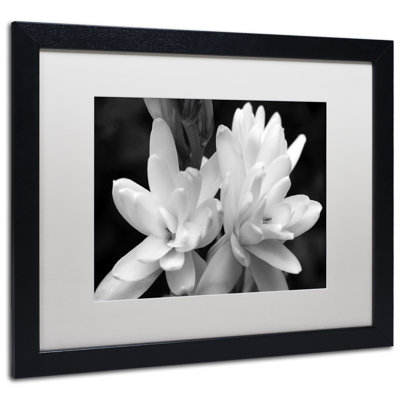  Framed Wall Art - Kurt Shaffer ‘Tuber Rose in Black and White’ Wall Decor with Matted Frame - Living Room, Kitchen, and Bathroom Art - 16x20