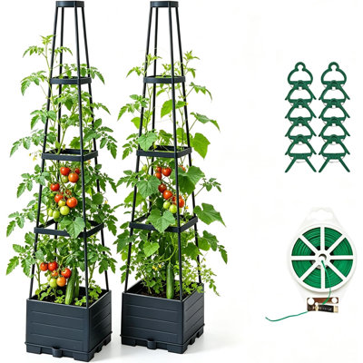 Plant Stand - Set of 2