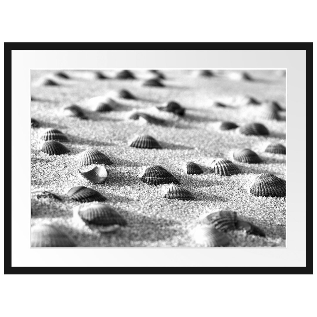 Muscheln im Sand Gerahmter Fotokunstdruck Poster