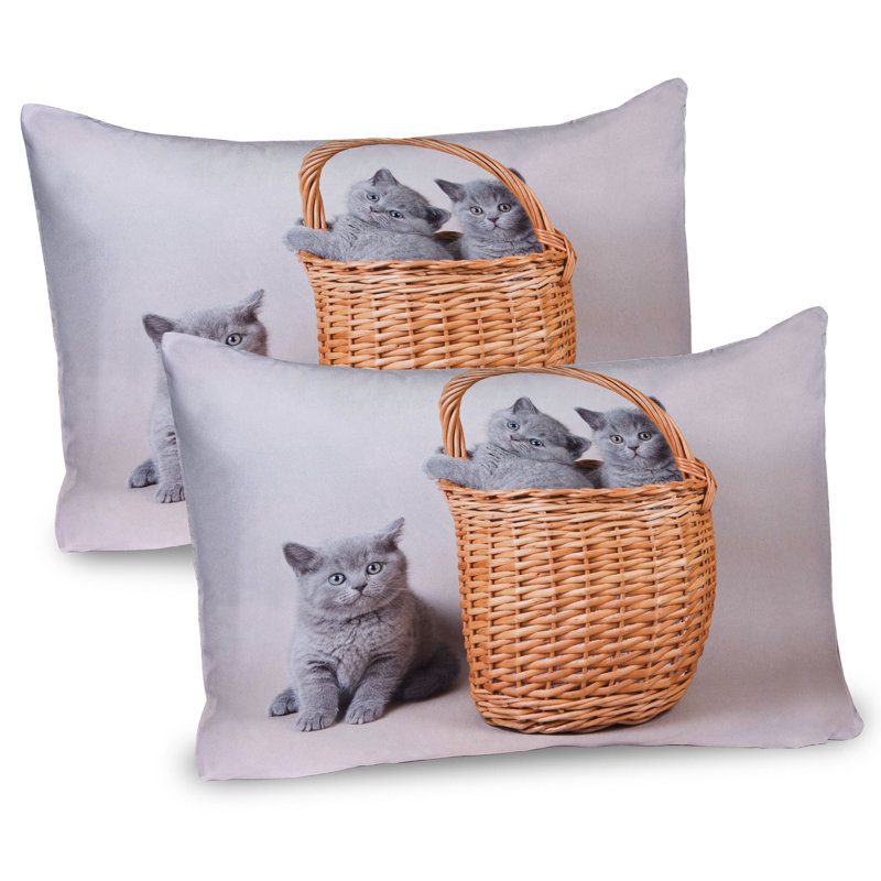 Ensemble de 2 taies décoratives pour chat Ambesonne Kitten, H 20 po x l 26 po