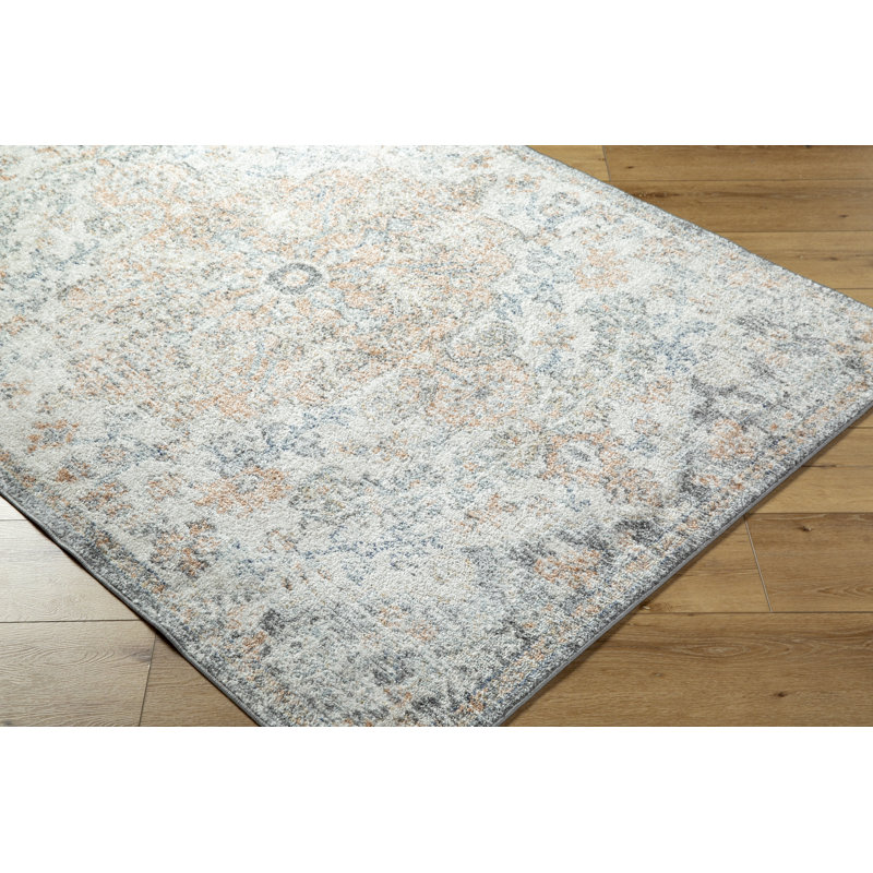 Reagyn Rectangle Oriental Washable Area Rug, Rectangle 60 x 90 cm