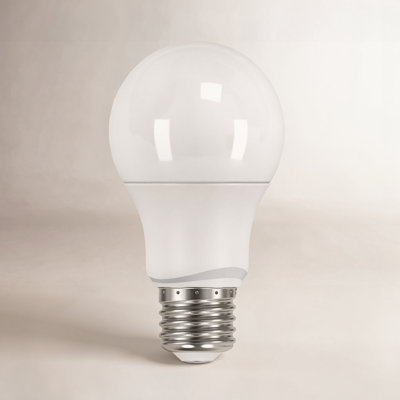 Roderick 6W A19 LED Non-Dimmable Bulb