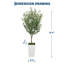 Plant-193444326