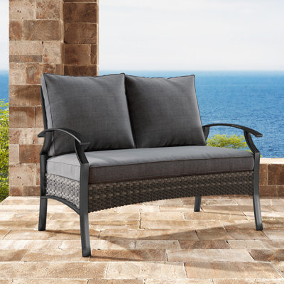 Charron Metal Outdoor Loveseat with Cushions and Wicker Decor by Winston Porter