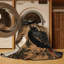  Tapis lavable avec oiseaux Koel-2139199255