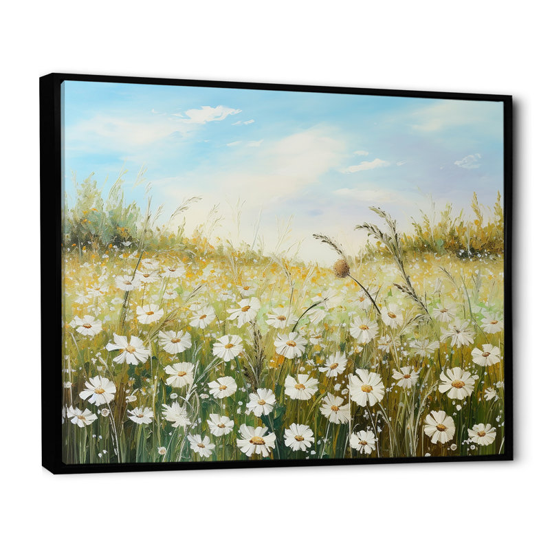 Champ de fleurs marguerites au soleil, Cadre flottant noir, H 24 po x l 32 po x P 1 po