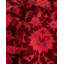Tapis unique noué à la main Weirsky - rose Weirsky