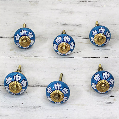 Ceramic Cabinet Knobs Set of 6