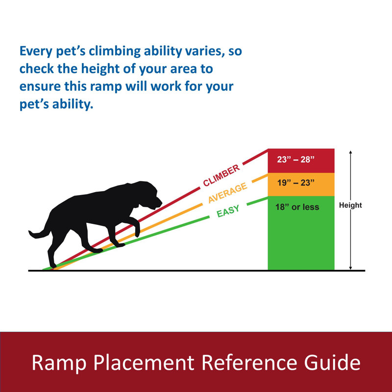 Rampe pour animal de compagnie de 62 po TRIXIE de couleur noire ‑ rampe pour chien pliable et portable avec une surface antidérapante parfaite pour une utilisation avec les voitures, les camions et les VUS