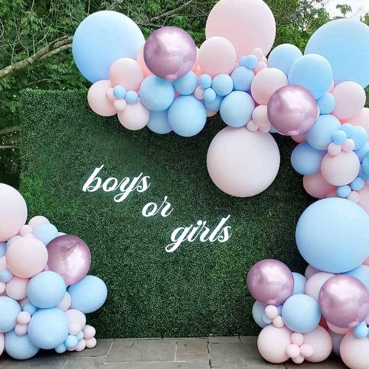Blue Pink Balloons Gender Reveal Party Birthday Party Decorations