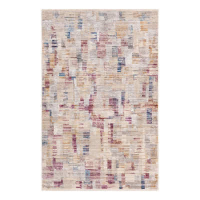 Indoor Rug