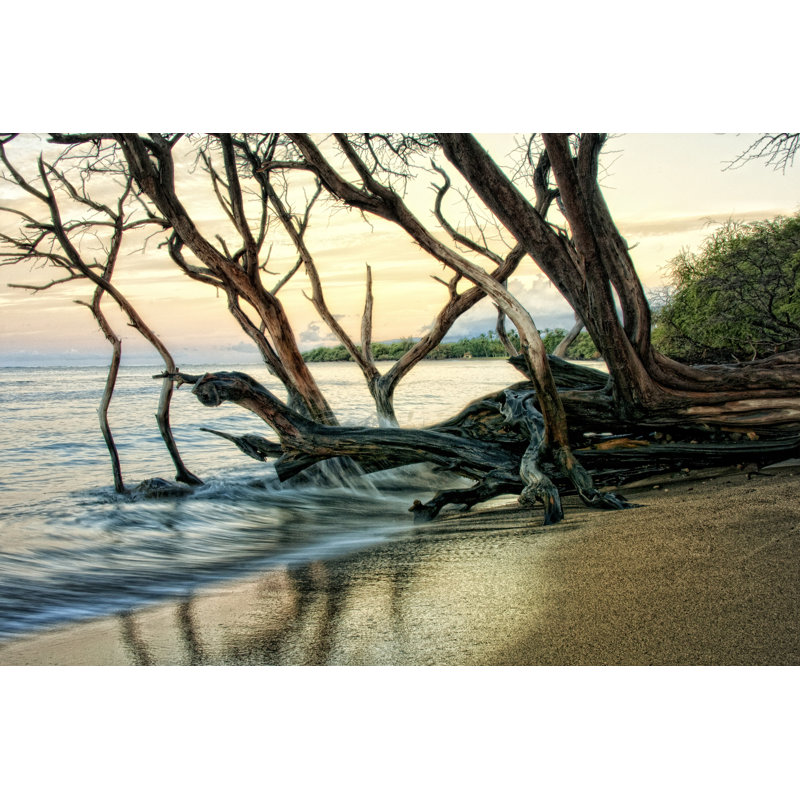 Reaching For The Sea I by Grace Popp - Wrapped Canvas Painting, 30cm H x 46cm W x 3.8cm D