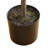 Pine Tree-1446845778