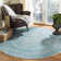 Alisa Performance Oriental Rug