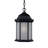 Pruitt Outdoor Hanging Lantern-26243306-26243310-26243313