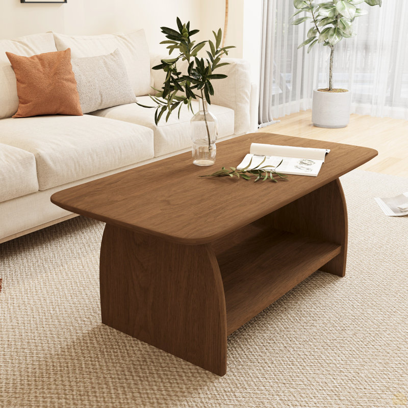 Table basse, double couche rectangulaire de 47 pouces avec fonction de rangement