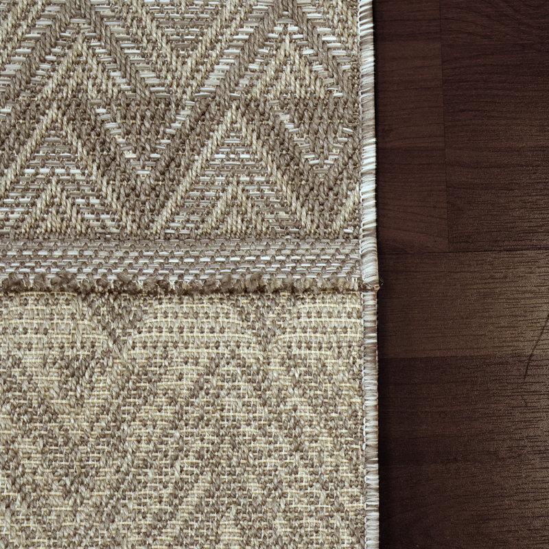 Frawley Chevron Indoor / Outdoor Rug, Rectangle 3'11" x 5'7"