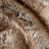 Variegated Chestnut is unavailable