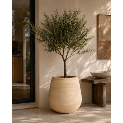 Concrete Planter