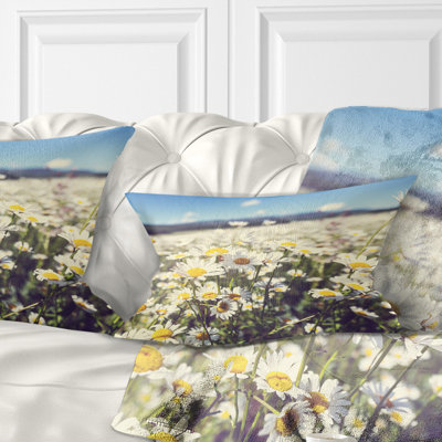Coussin Mountain