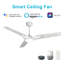  Ventilateur de plafond intelligent à 3 pales avec télécommande et ensemble d'éclairage inclus-132100463-102451469