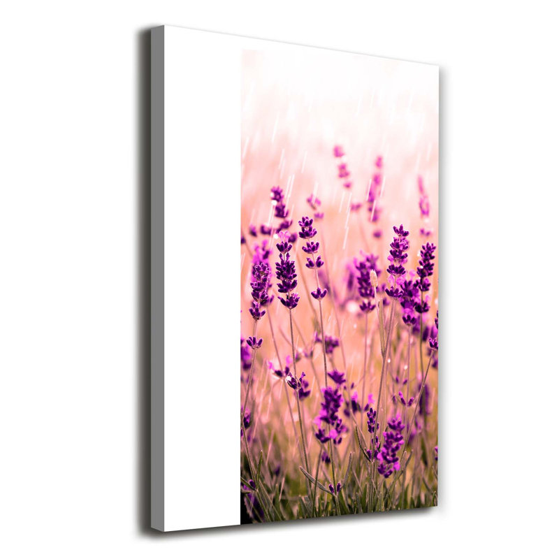 Lavender Field - Wrapped Canvas Print