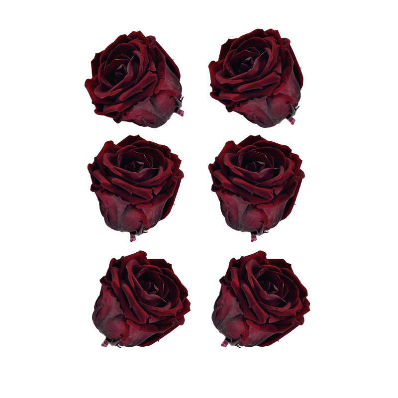Faux rose, Bourgogne