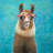 Lovable llama - 32"x32" art on canvas