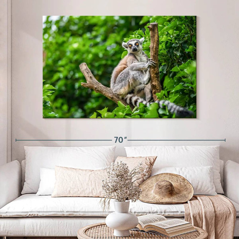 Brampt Stunned Lemur, 34" H x 51" W