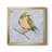 " Bird Variety II "-1638282022-1638282025