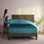  Ensemble de draps hypoallergéniques à double brossage 1800 Series-61322263-22057767