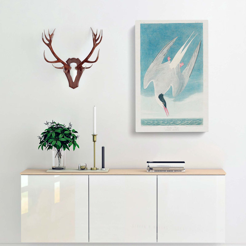 Arctic Tern - Wrapped Canvas Painting, 50cm H x 35cm W x 3cm D