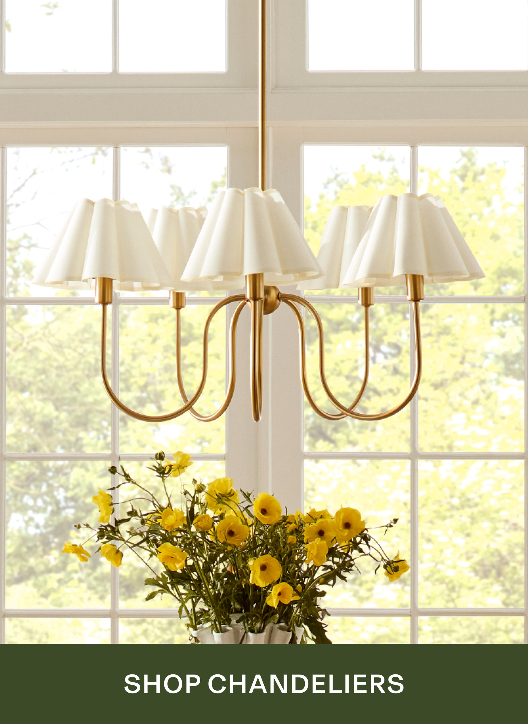 Shop Chandeliers