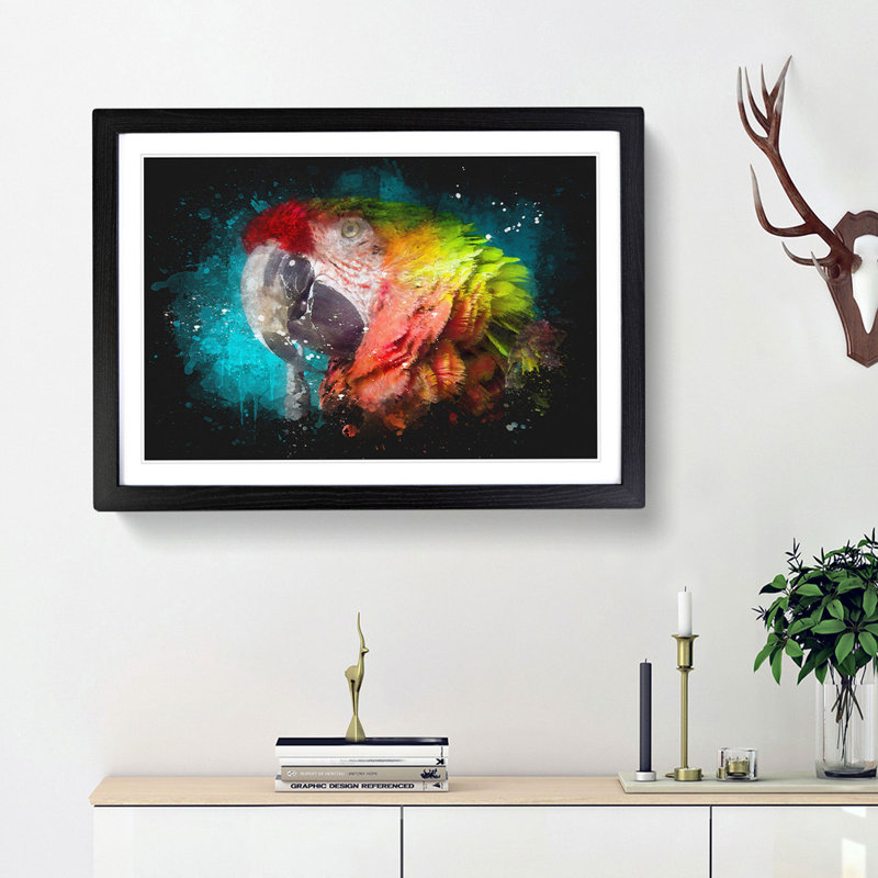 Rainbow Macaw Parrot - Picture Frame Graphic Art, 33cm H x 45cm W x 2cm D, Black Framed